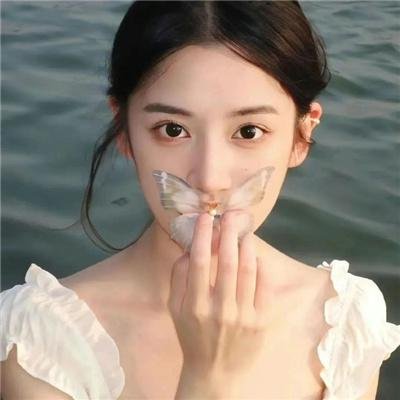 森林之北